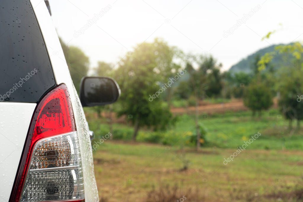 Rear side of white car stop or parking on body with drop of rain. With background of green grass and trees in the gardent. Traveling in the natural areas of the provinces. moisture after rain.