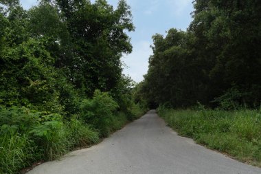 Asfalt yolun ilerisinde. Yeşil çimenler ve ağaçların yanında. Gökyüzünün altında.