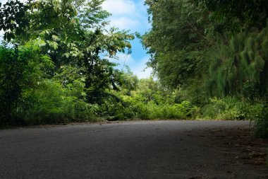 Curved paths of asphalt road. Surrounded by shady trees and green grass. Under the blue sky and white clouds at days.
