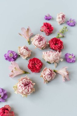 Soyut çiçek arkaplanı. Renkli pembe ve kırmızı gül çiçekleri arka plan. Güzel çiçekler ve taç yaprakları. Sanatsal botanik şablonu