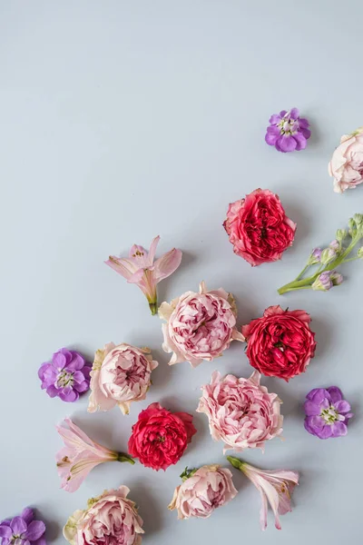 Estetisk Bakgrund Med Färgglada Ros Blommor Blå Bakgrund Vacker Blommig — Stockfoto