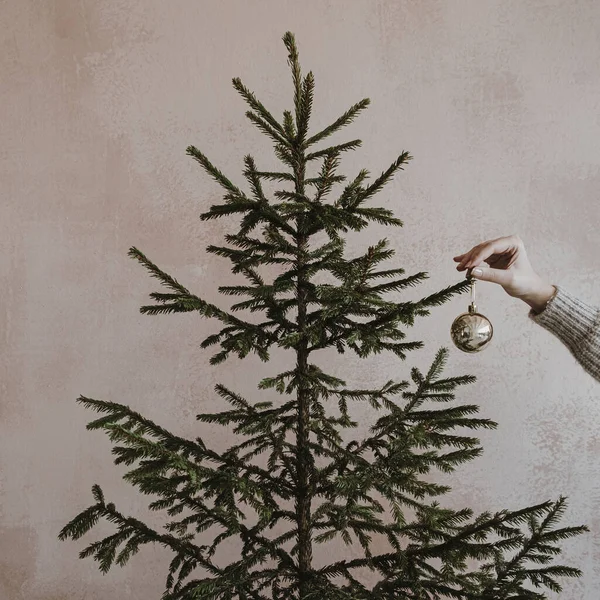 Woman Hand Hand Bauble Ball Christmas Fir Tree Front Neutral — Stock Photo, Image