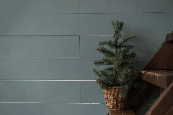 Pequeno Abeto Abeto Árvore Natal Pote Vime Escadas Madeira Contra — Fotografia de Stock