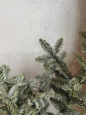 Tarafsız arkaplanda Firavun ladin dalları