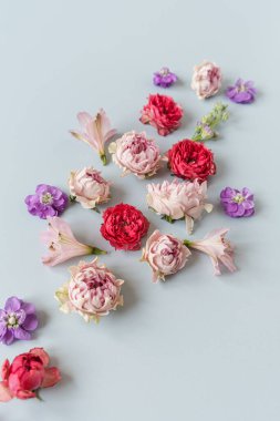 Mavi arka planda renkli gül çiçekleri olan estetik bir arka plan. Güzel çiçek kompozisyonu