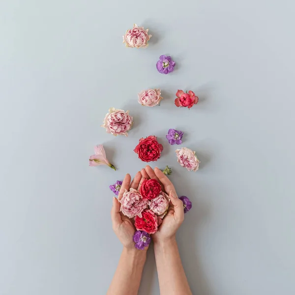 Flatlay Από Κόκκινα Και Ροζ Τριαντάφυλλα Λουλούδια Στο Χέρι Των — Φωτογραφία Αρχείου