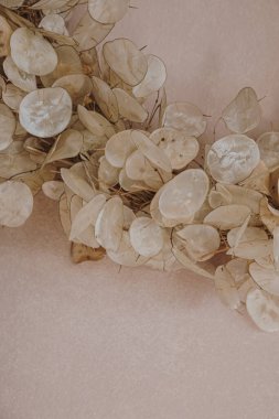 Estetik bohem asgari Noel, yeni yıl dekorasyon konsepti. Tarafsız pembe arka planda ay yapraklarından yapılmış yakın plan Noel çelengi.