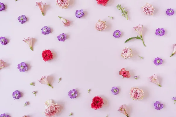 Cadre Boutons Fleurs Rose Sur Fond Rose Flatlay Vue Dessus — Photo