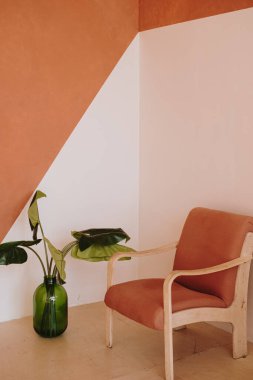 Yüzyıl ortası retro koltuğu ve tropikal ev bitkisi beyaz ve zencefil duvarına karşı. Modern estetik minimalist ev, oturma odası iç tasarım konsepti