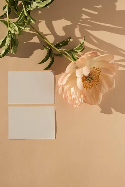 Üres Papír Kártya Mockup Másolási Hellyel Elegáns Bazsarózsa Virág Napfénnyel — Stock Fotó