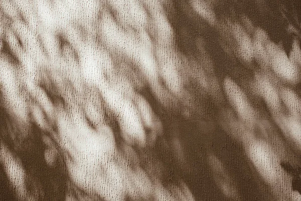 中性米黄色混凝土墙体上的树和枝叶阳光阴影背景 自然美图案阳光下的阴影背景 — 图库照片