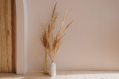 Ev yapımı pampa otları şişede. Estetik minimal modern İskandinav iç tasarım dekorasyonu