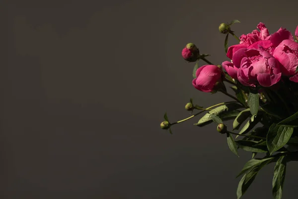 Ramo Flores Peonía Rosa Sobre Fondo Negro Minimalista Elegante Composición — Foto de Stock