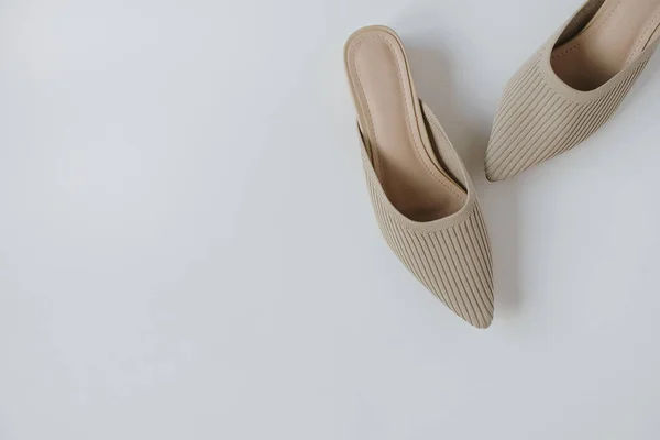 Set Plano Zapatos Femeninos Moda Sobre Fondo Neutro Color Azul —  Fotos de Stock