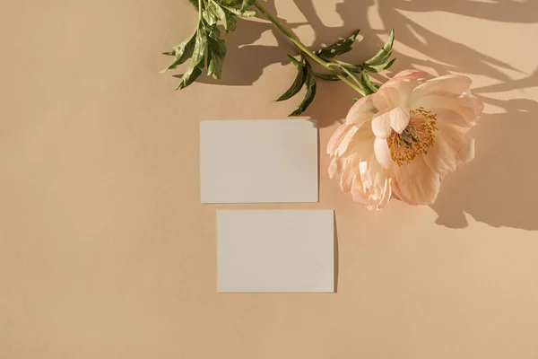 Üres Papír Kártya Mockup Másolási Hellyel Elegáns Bazsarózsa Virág Napfénnyel — Stock Fotó