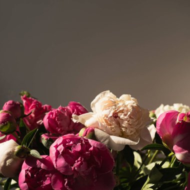 Siyah arka planda zarif pembe ve beyaz şakayık çiçekleri. Minimalist bohem çiçek kompozisyonu