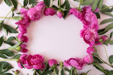 Çiçek kompozisyonu. Pembe arka planda pembe şakayık çiçeklerinden çelenk. Düz konum, üst görünüm, kopyalama alanı. Estetik Sevgililer Günü, Anneler Günü modelleme şablonu