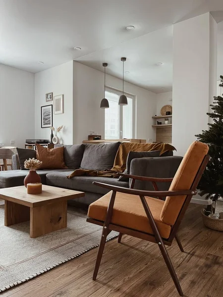 Modern Interior Design Stylish Bright Living Room Decorated Comfortable Sofa — Zdjęcie stockowe