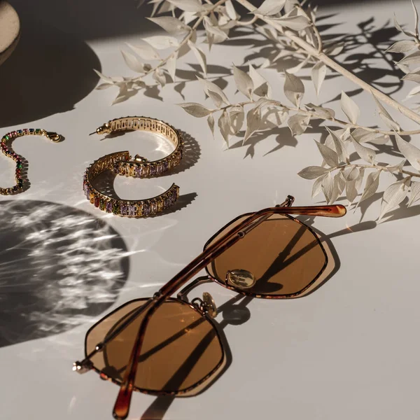 부티크 상류층의 매력적 장신구와 그림자가 액세서리 선글라스 귀걸이 — 스톡 사진