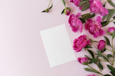 Kopya alanı olan boş kağıt davetiye kartı. Tarafsız pastel zarif pembe arka planda pembe şakayık çiçekleri. Düz konum, üst görünüm minimal çiçek bileşimi