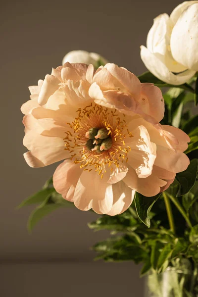 Aesthetic Luxury Bohemian Flowers Composition Elegant Gentle Peach Peony Flowers — Stock Fotó