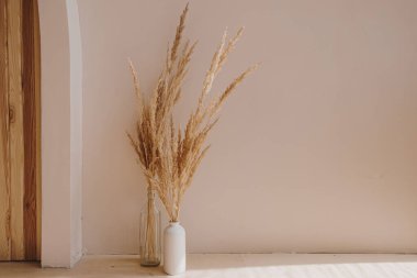 Estetik iç tasarım. Pampas çimen çiçek buketi. Güneş ışığı gölgeleri. Güneş ışığında siluet. Minimalist iç dekorasyon