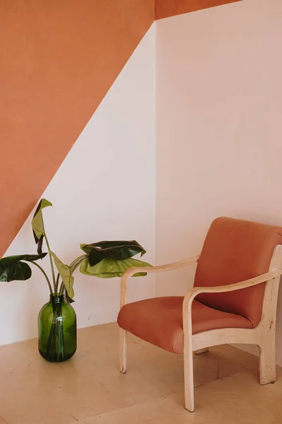 Modern home interior design. Chair, home plant against white and ginger wall