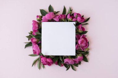 Çiçek kompozisyonu. Pembe şakayık çiçeklerinden çelenk, pembe arka planda boş kare kağıt yaprak. Düz konum, üst görünüm, kopyalama alanı. Estetik Sevgililer Günü, Anneler Günü modelleme şablonu