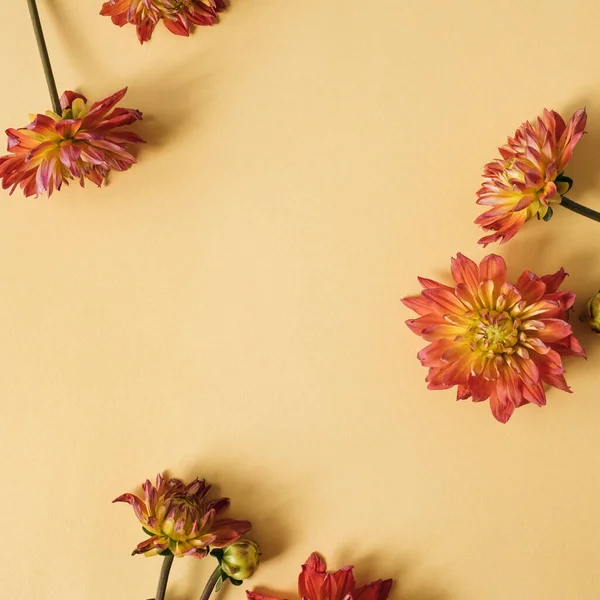 Složení Květin Věnec Květin Neutrálním Broskvově Žlutém Pozadí Byt Ležel — Stock fotografie