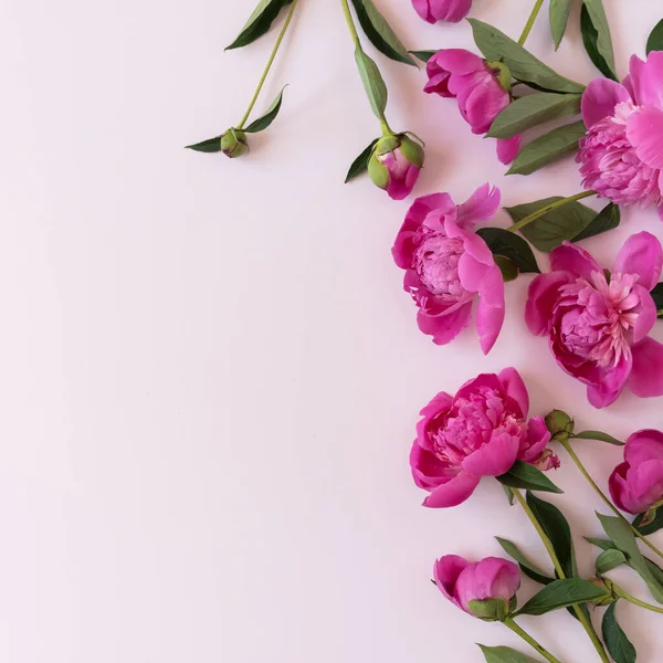 Rosafarbener Pfingstrosenstrauß Auf Neutralem Pastellfarbenem Elegantem Rosa Hintergrund Flache Lage — Stockfoto