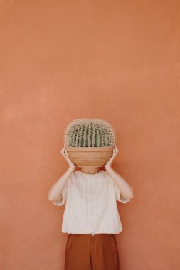 Estetik minimalist moda konsepti. Kızıl pantolonlu ve beyaz tişörtlü güzel bir kadın kaktüsü kızıl duvarda tutuyor.