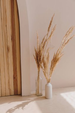 Ev yapımı pampa otları şişede. Estetik minimal modern İskandinav iç tasarım dekorasyonu