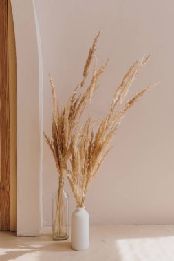 Estetik iç tasarım. Pampas çimen çiçek buketi. Güneş ışığı gölgeleri. Güneş ışığında siluet. Minimalist iç dekorasyon