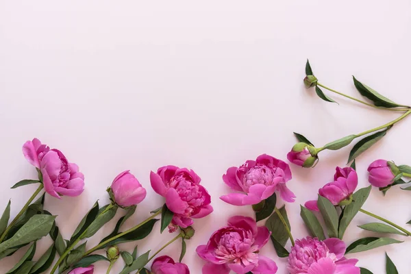 Ramo Flores Peonía Rosa Sobre Fondo Rosa Elegante Pastel Neutro — Foto de Stock