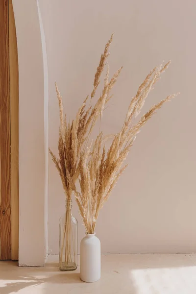 Aesthetic minimal interior design. Pampas grass floral bouquet. Sunlight shadows. Silhouette in sun light. Minimalist interior decoration