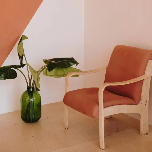 Modernes Wohndesign Stuhl Zimmerpflanze Gegen Weiße Und Ingwerwand — Stockfoto