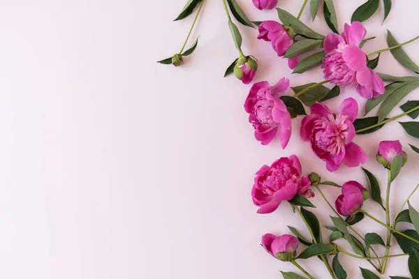 Розовый Пион Букет Цветов Нейтральном Пастельном Элегантном Розовом Фоне Плоский — стоковое фото