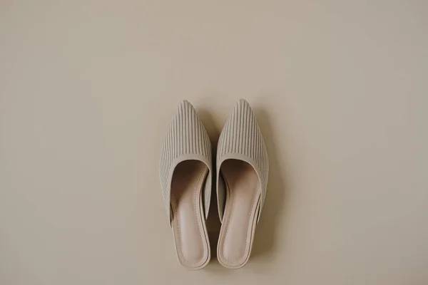 Επίπεδη Lay Μοντέρνα Γυναικεία Παπούτσια Ουδέτερο Παστέλ Μπεζ Φόντο Αισθητικό — Φωτογραφία Αρχείου