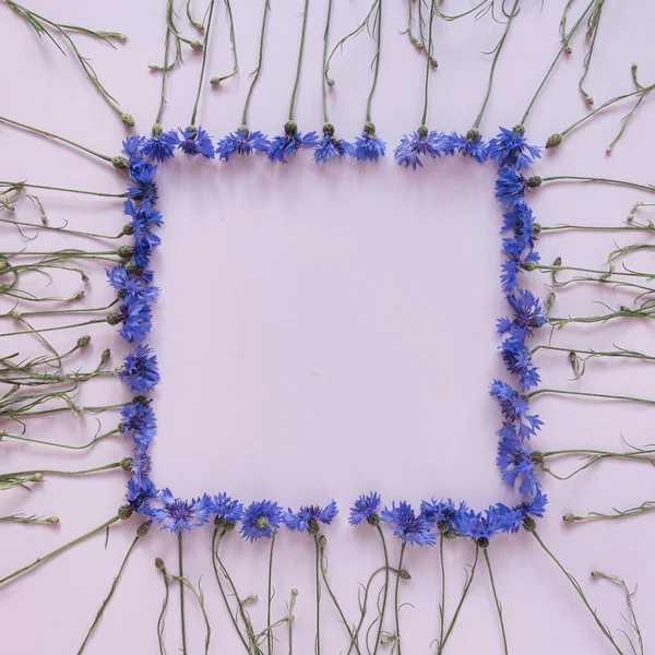 Pastel Pembe Arka Planda Mavi Çiçek Desenli Kare Çerçeve Uzay — Stok fotoğraf