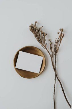 Pirinç plaka üzerinde kopyalama alanı olan boş kağıt kağıtlar, beyaz arka planda kurutulmuş ot sapları. Minimum estetik marka şablonu. Düz yatış, üst görünüm