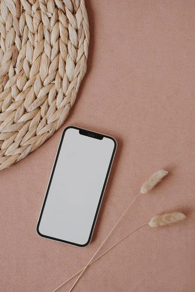 Flatlay telefon ve tavşan kuyruğu otları tarafsız pastel somon arka planında saplanır. Estetik zarif blog, sosyal medya, web şablonu