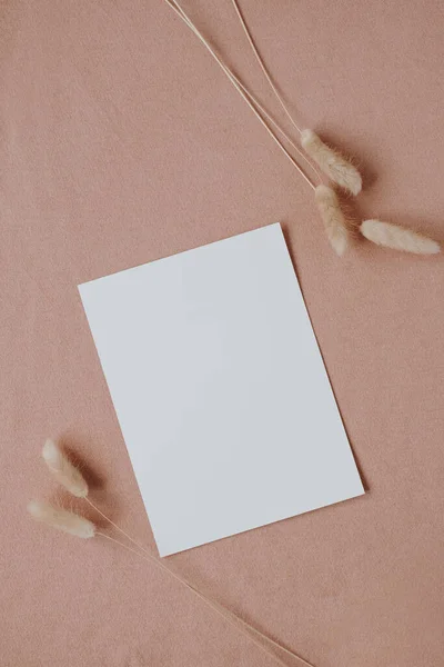 Prázdná Papírová Karta Makupem Kopírovat Prostor Elegantní Sušené Králičí Ocas — Stock fotografie