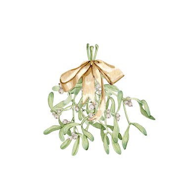 Suluboya Noel romantik ökseotu çiçeği kompozisyonu el çizimi illüstrasyon sanatı