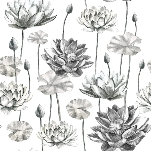 Wzorzec Lotusa Kwiaty Liście Lotosu Ołówku Lilia Wodna Ołówek Rysunek — Zdjęcie stockowe