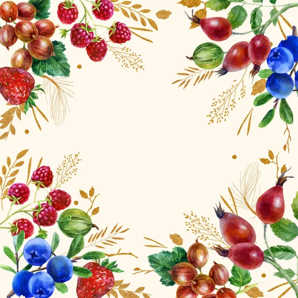水彩イラスト 果実と葉で作られた夏のフレーム ラズベリー スグリグーズベリー イチゴベリー ブルーベリー バラの腰 — ストック写真