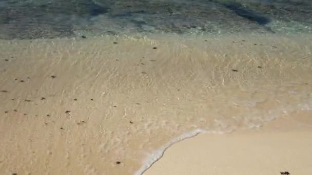 2021年11月1日 日本のクリマ島の美しいビーチ — ストック動画