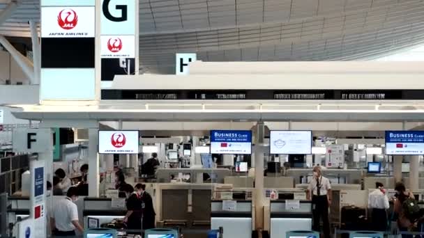 Tokio Japón Noviembre 2021 Mostradores Facturación Terminal Del Aeropuerto Internacional — Vídeos de Stock