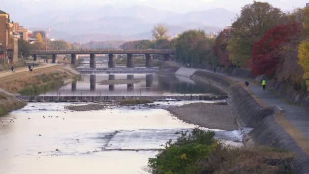Kioto Japón Noviembre 2021 Vista Matutina Del Río Kamo Desde — Vídeo de stock