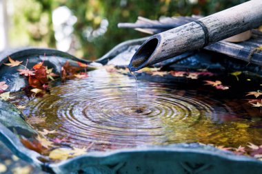 Hyogo, Japonya- 23 Kasım 2021: Sonbaharda içi boş bambu kaplarından su akışı