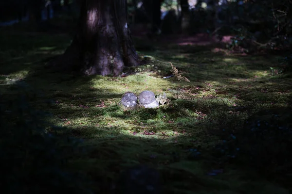 Kyoto Japão Novembro 2021 Pequeno Jizo Deidade Guardiã Crianças Jardim — Fotografia de Stock